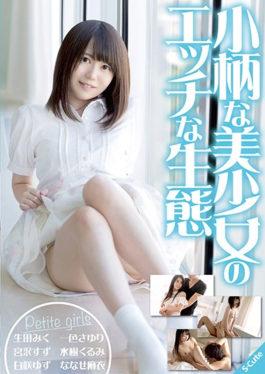 SQTE-194 - Horny Ecology Of Small Petite Girls  - S-cute
