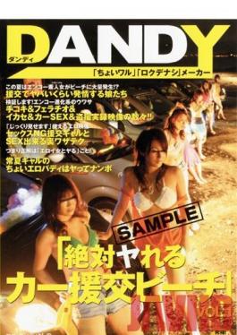 DANDY-001 Studio Dandy Compensated Dating Beach Car Is Absolutely Ya