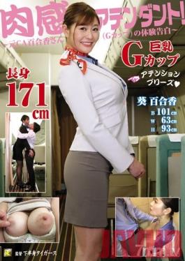 KTB-028 Studio Kahanshin Tigers /Mousouzoku - Meaty Attendant! - Confessions Of A Former Cabin Attendant With G-Cup Tits - Yurika Aoi
