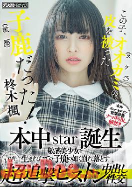 HMN-049 Studio Honnaka This Kid Was A Fawn (sensitive) With The Skin Of A Wolf (lewd)! Honnaka Star Birth All Day Super Pursuit Piston Cum Shot Sexual Intercourse That Collapses A Sensitive Beautiful Girl Like A Newborn Fawn Kaede Hiiragi
