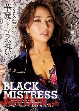 MVSD-491 Studio M's Video Group BLACK MISTRESS. The Great Dick Play Of A Totally Sadistic Female Company President. Kaho Imai