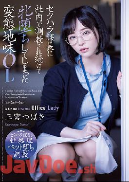 ADN-388 Studio Attackers Supervisor That Engages In Sexual Harassment Gives Non-stop Breaking In At Work To Make This Modest Office Lady Totally Lewd. Tsubaki Sannomiya