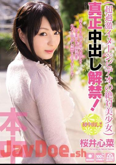 Mosaic HND-113 The Lifting Of The Ban Out Beautiful Girl In Absolute Authenticity Of Cum Video Image! Sakurai Kokorona