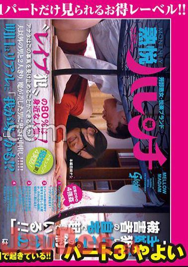 GML-132 Broad Daylight Without My Husband! Approximately 1/3 Of Rapes Targeting Housewives Occur At The Victim's "home"! Part 3 Yayoi